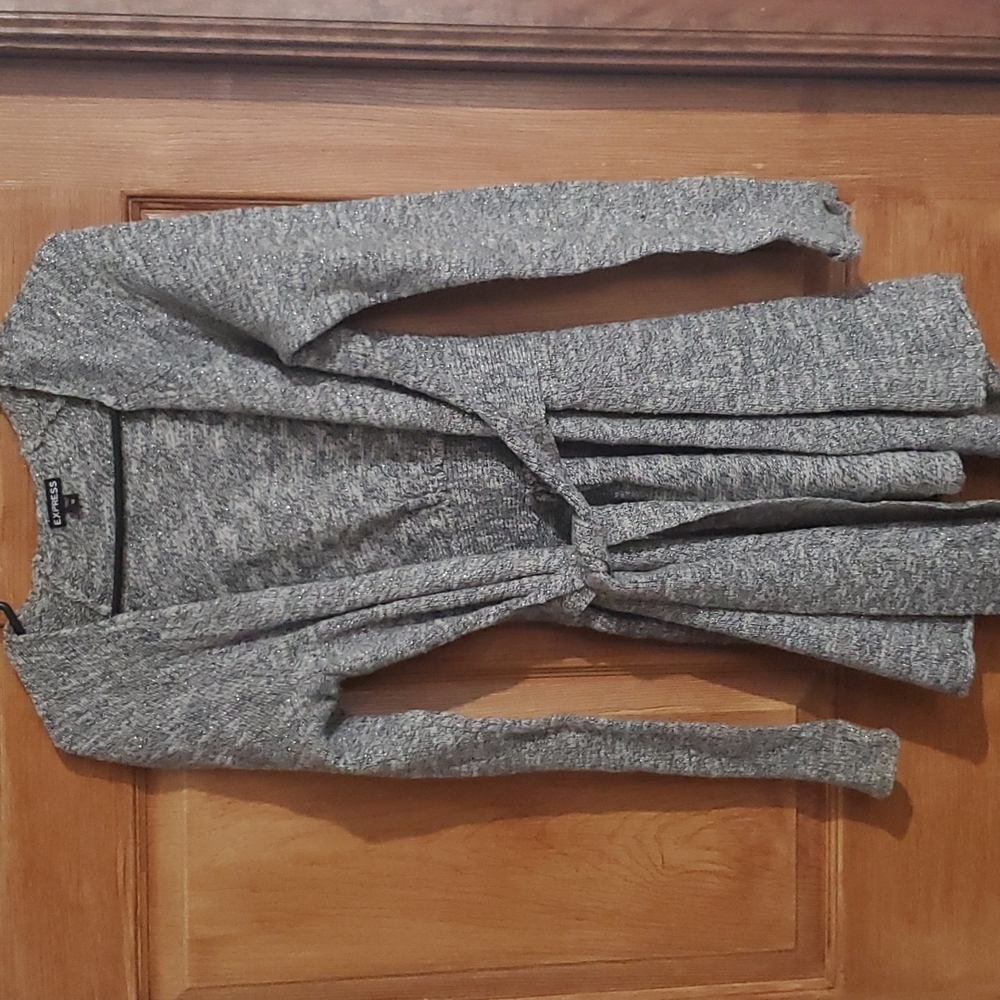 Express Sparkly Cardigan